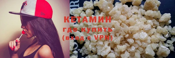 шишки Гусев