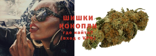 мдпв Гусь-Хрустальный