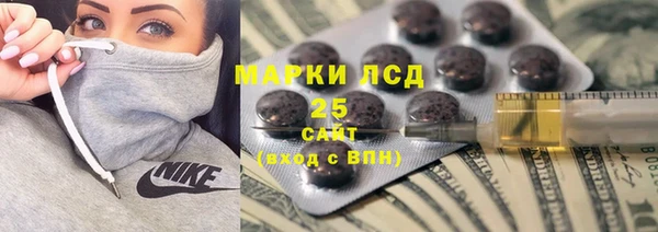мдпв Гусь-Хрустальный