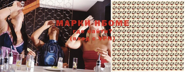 мдпв Гусь-Хрустальный