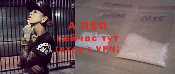 мдпв Гусь-Хрустальный