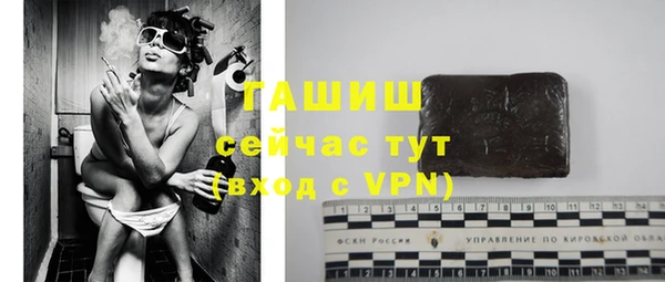 шишки Гусев