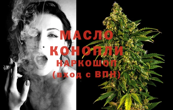 шишки Гусев