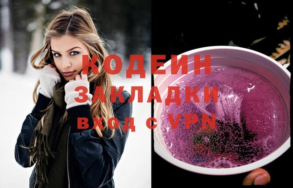 мдпв Гусь-Хрустальный