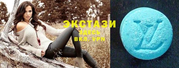шишки Гусев