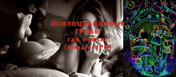 дживик Гусиноозёрск