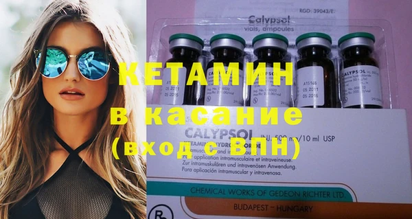 шишки Гусев