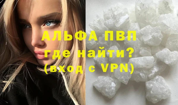 шишки Гусев