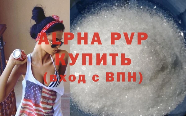 шишки Гусев